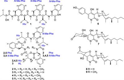Cytotoxic hexadepsipeptides and anti-coronaviral 4-hydroxy-2-pyridones from an endophytic Fusarium sp.